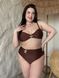Роздільний купальник PLUS SIZE коричневий 4XL SW4031 фото 6